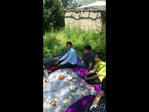 Видео: Шералы 88