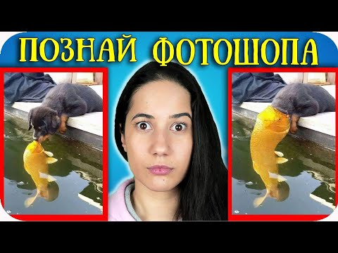 Видео: ФОТОШОП или ИСТИНА Challenge