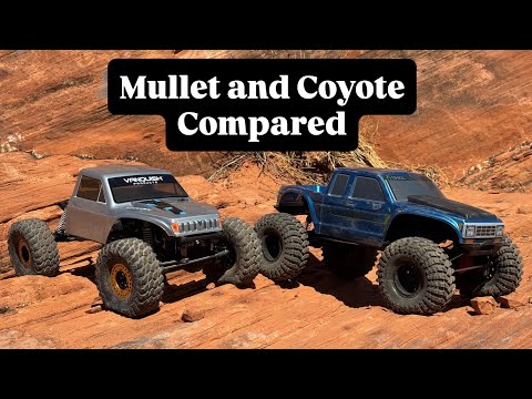 Видео: Vanquish MULLET в сравнении с Axial COYOTE! Performance RC Crawlers