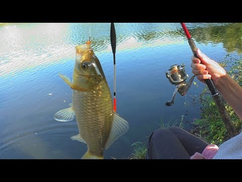 Видео: Рыбалка для души. Ловля карася  на поплавок (манка и перловка). My fishing
