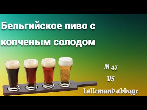 Видео: Бельгийское домашнее пиво с изюминкой!Бельгия и копченый солод совместимы?Сравнение дрожжей!