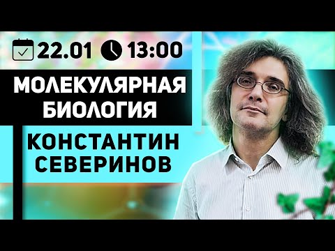 Видео: Константин Северинов. Молекулярная биология: Как клонируют ДНК . Инвестируем в производство инсулина