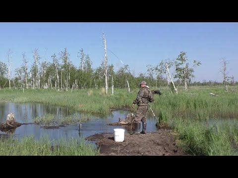 Видео: Надубасили 30 кг рыбы с коряжника на болоте!!! Тайга, сибирь, лужа 30 см кишит рыбой!! Рыбалка 2022г
