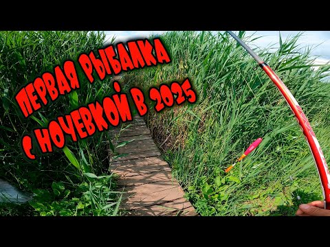 Видео: Вытащил ЧУЖУЮ УДОЧКУ!!! Первая рыбалка 2025
