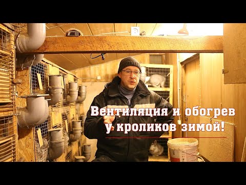 Видео: Вентиляция и обогрев у кроликов зимой!