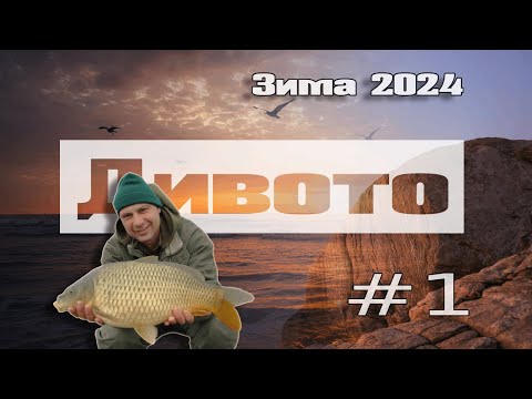 Видео: Риболов на шаран: Стръмната скала (2024)