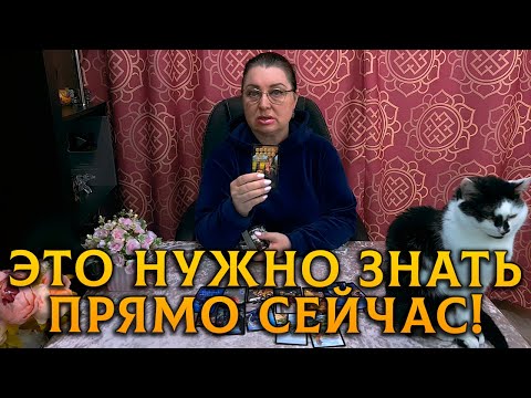 Видео: ЧТО ВАМ НУЖНО ЗНАТЬ ПРЯМО СЕЙЧАС?