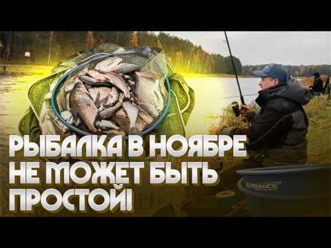 Видео: РЫБАЛКА В НОЯБРЕ НЕ МОЖЕТ БЫТЬ ПРОСТОЙ! Фидерная рыбалка на Вилейском водохранилище