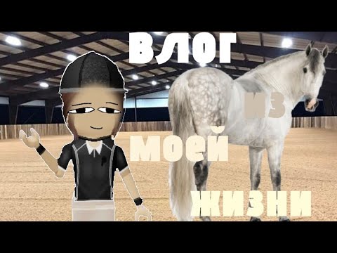 Видео: #Mse.  Влог из моей жизни#roblox #horse #лошади