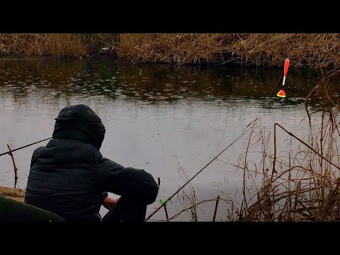 Видео: ЧЕТЫРЕ ДНЯ РАЗНОЙ РЫБАЛКИ. РЕКА ДНЕПР и МИКРОРЕЧКА.