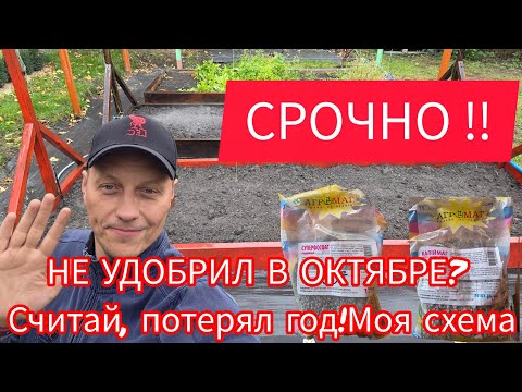Видео: ‼️ПОСЛЕДНИЙ ШАНС!Успей внести Калий и Фосфор в Октябре, иначе урожая не видать🙈