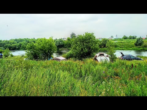 Видео: Отдых с палатками на реке Дон!!!