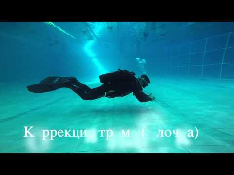 Видео: Техника плавания в ластах