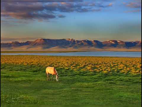 Видео: Аалы Туткучев. Ала-Тоо
