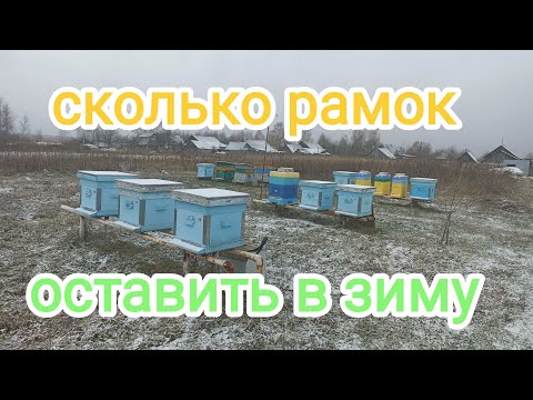 Видео: Сколько рамок оставить в улье пчёлам, для зимовки на улице. Пчеловодство!