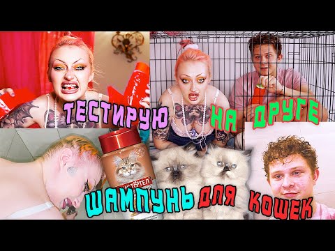 Видео: Тест-обзор шампуня и кондиционера для кошечек! У моего друга выпали волосы!