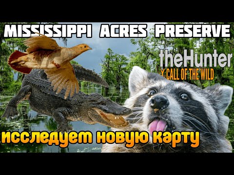Видео: ОХОТА на НОВОЙ карте Миссисипи theHunter Call of the Wild Большой обзор