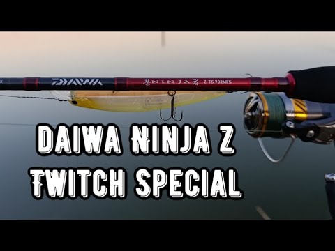 Видео: Спиннинг Daiwa Ninja Z TS 702MFS. Бюджетный спиннинг для твичинга 