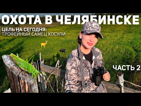 Видео: Охота в Челябинске | Часть 2 | В ОЖИДАНИИ ТРОФЕЙНОГО САМЦА КОСУЛИ