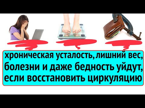 Видео: Измотанность, лишний вес, мигрень и даже БЕДНОСТЬ уйдут, если вы поймёте закон циркуляции энергии