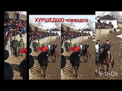 Видео: ХУРШЕДШО човандоз бо аспхои  ХОЦИ ШАРАФ   (парламен  &  чорни бумер)   н.РАШТ