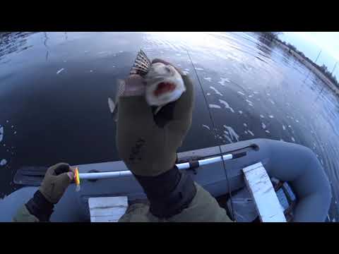 Видео: RIZER - Major Craft - 3-15 . СТАРЫЙ ЯПОНЕЦ  ЛУЧШЕ НОВОГО КИТАЙЦА !!!