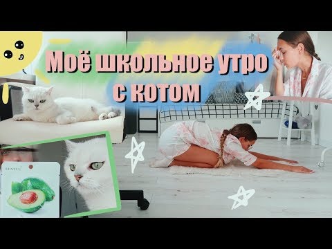 Видео: МОЁ ШКОЛЬНОЕ УТРО || как взбодриться с утра??