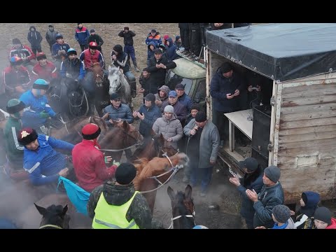 Видео: КӨКПАР Берік мырзаның елден бата алу көкпар тойы 21.11.2024 г Тараз