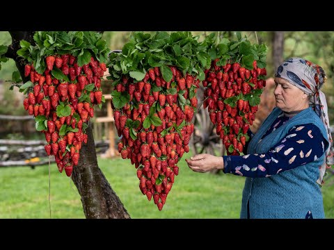 Видео: Садовая Клубника и Легкие Сладкие Рецепты!