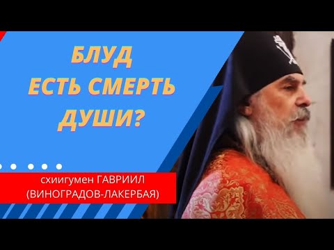 Видео: Блуд есть смерть души. Что делать? Схиигумен Гавриил (Виноградов-Лакербая). @Козенкова Елена