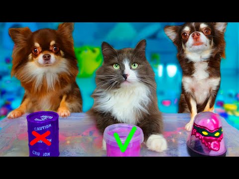 Видео: ВЫБЕРИ ПРАВИЛЬНЫЙ СЛАЙМ, ЧТОБЫ ВЫЖИТЬ! ЧТОБЫ ВЫЖИЛ ЛИЗУН ГИГАНТ! РАСПАКОВКА СЛАЙМОВ ДЕНЬ 3