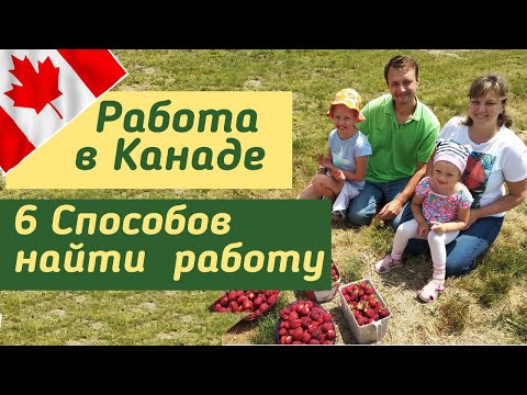 Видео: Как найти работу в Канаде. 6 эффективных способов 2020 года