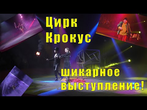 Видео: ШИКАРНОЕ ПРЕДСТАВЛЕНИЕ /ЦИРК КРОКУС В МУРМАНСКЕ /01 ноября 2025