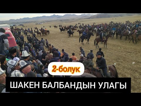 Видео: ШАКЕН БАЛБАНДЫН УЛАГЫ 2-БОЛУК ВИДЕОГО ЛАЙК 👍 басып КАНАЛГА КАТТАЛЫНЫЗДАР 🔔