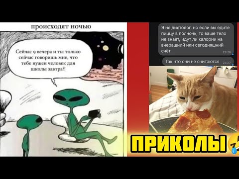 Видео: правильно кушать пиццу смотри смешные картинки мемы котики приколы  🤣