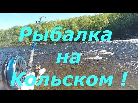 Видео: Две поклевки семги  , 13 июня 2022 год . Рыбалка на Кольском .