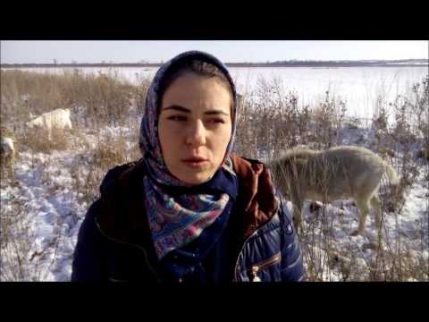 Видео: Минусы и плюсы содержания коз в ЛПХ.