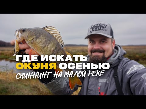 Видео: Микроджиг Где Искать Окуня на Малой Реке Поздняя Осень Ранняя Зима