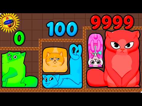 Видео: 🌞ЭВОЛЮЦИЯ ПАЗЛА ИЗ КОТОВ, МАКСИМАЛЬНЫЙ УРОВЕНЬ! Puzzle Cats