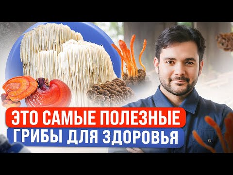 Видео: Эти Грибы Заменят Вам Аптеки и Врачей! Как Грибы Помогают Нашему организму?