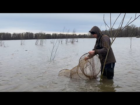 Видео: УДАЧА НА НАШЕЙ СТОРОНЕ, ФИТИЛИ НАЧАЛИ СОБИРАТЬ ВСЮ РЫБУ! Рыбалка на фитили.
