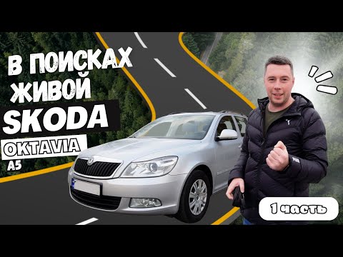 Видео: Не битая Octavia А5 за 8к, такое реально ?