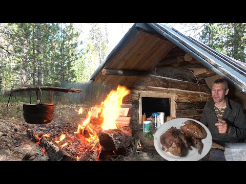 Видео: Отпуск в охотничьей избушке. Завершение