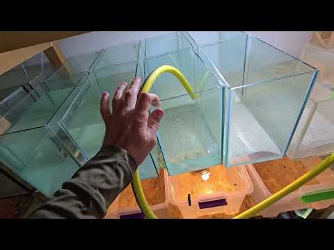 Видео: Супер новости, красный неон, струбцины, утепление и др