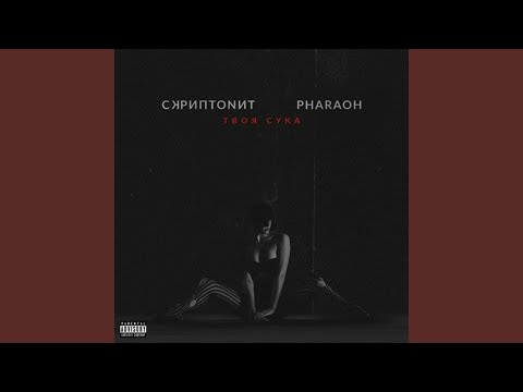 Видео: Твоя Сука