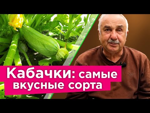 Видео: КОМПАКТНЫЕ, НО ОЧЕНЬ УРОЖАЙНЫЕ И ВКУСНЫЕ СОРТА КАБАЧКОВ! Собирайте урожай кабачков уже в июне