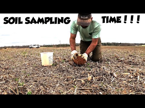 Видео: ВРЕМЯ ИГРАТЬ В АЛАБАМСКОЙ ГРЯЗИ