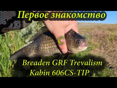 Видео: Первое знакомство с Breaden GRF Trevalism Kabin 606CS TIP