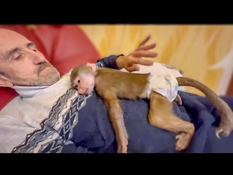 Видео: НЕВЕРОЯТНО! Вы можете увидеть как Люся ЛЕЧИТ Владу СЕРДЦЕ!