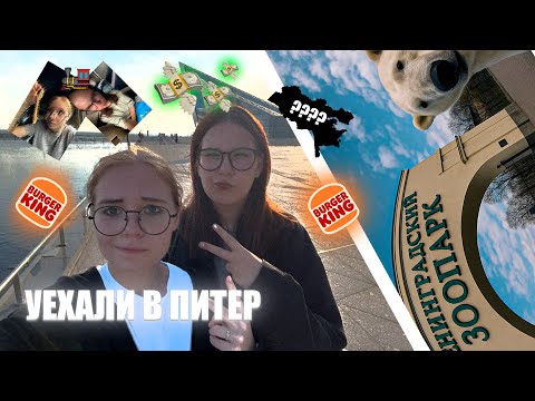 Видео: ВЛОГ ИЗ ПИТЕРА СФОТКАЛИСЬ С БРАЙНОМ МАПСОМ????